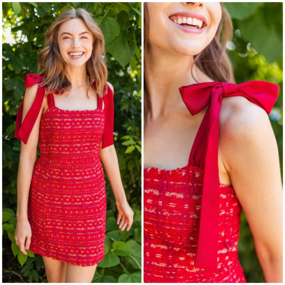 NWT Koch Cherry Tweed Stella Dress